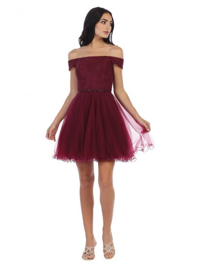 3325 - Mini Shoulder Lace and Tulle Dress - Image 10
