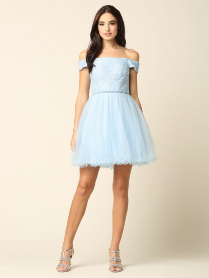 3325 - Mini Shoulder Lace and Tulle Dress - Image 8