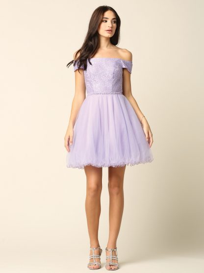 3325 - Mini Shoulder Lace and Tulle Dress - Image 7