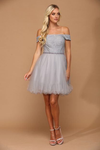 3325 - Mini Shoulder Lace and Tulle Dress