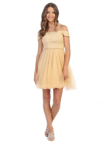 3325 - Mini Shoulder Lace and Tulle Dress - Image 13