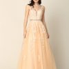 5232 - TULLE BALLGOWN WITH EMBROIDERY CORSET BACK - Image 12