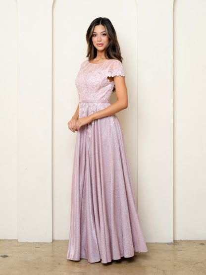 5273 - CAP SLEEVE METALLIC ALINE GOWN - Image 8