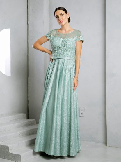 5273 - CAP SLEEVE METALLIC ALINE GOWN - Image 10