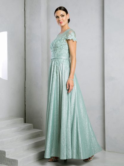 5273 - CAP SLEEVE METALLIC ALINE GOWN - Image 11